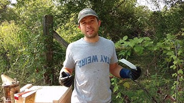 🔵How to use Apivar for mite control