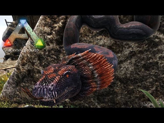 56 Ark Rag S4 受精卵を喰わす特殊テイム 特選lv145ティタノボア ヘビ をテイム Pc版公式pve Ark Survival Evolved Youtube