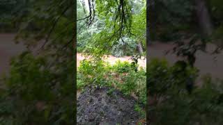 Arroyo Los Chañares Embalse Córdoba