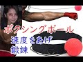 ボクシングボールの速度をあげ　反射神経　動体視力　反応速度　ＵＰ鍛錬　Boxing ball　JAPAN　Corona vaccination