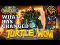 SHAMAN on TURTLE WoW: What Has Changed?