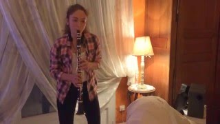 hello by adele (clarinet cover)