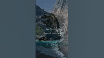 إِنَّا وَجَدْنَاهُ صَابِرًا ۚ نِّعْمَ الْعَبْدُ ۖ إِنَّهُ أَوَّابٌ - سورة ص القارئ رعد الكردي