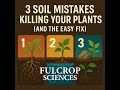 3 Grower Mistakes Killing Your Plants (and What To Do Instead)