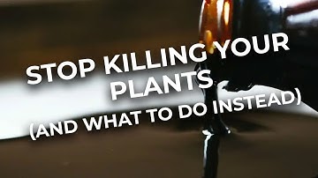 3 Grower Mistakes Killing Your Plants (and What To Do Instead)