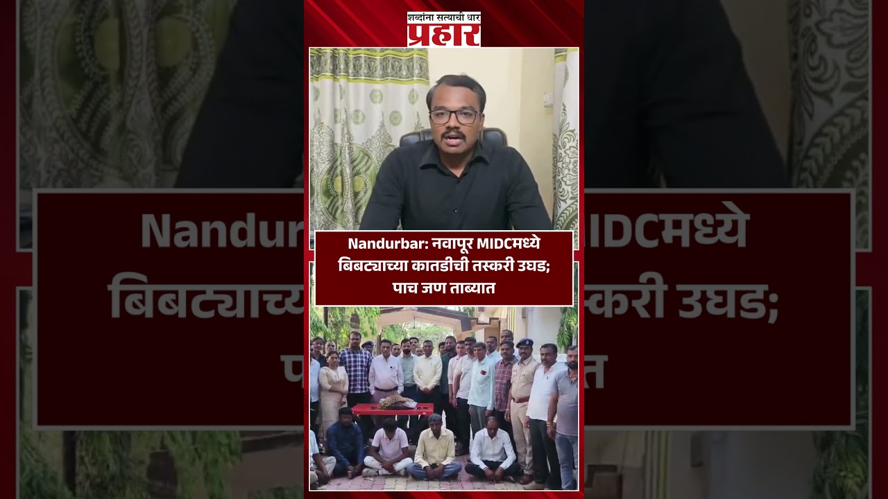 Navapur | नवापूर MIDCमध्ये बिबट्याच्या कातडीची तस्करी उघड | Navapur MIDC raid | Wildlife crime