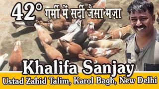 Wah Wah, Garmi Me Sardi ka Maza, Khalifa Sanjay, Karol Bagh, Garmi Ki Kabutar Bazi