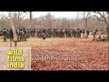 Naxal Attack In Sukma