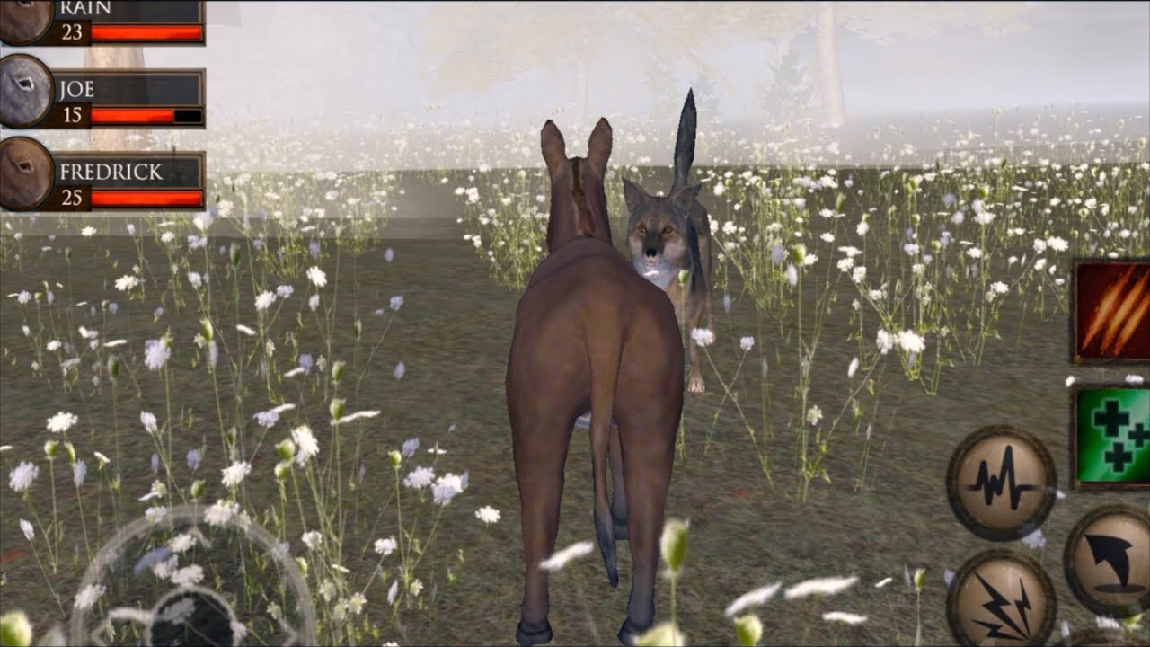Furious Donkey VS Angry Coyote, Ultimate Farm Simulator