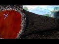 Rare Wood With The Longest Red Grain Ever At The Sawmill