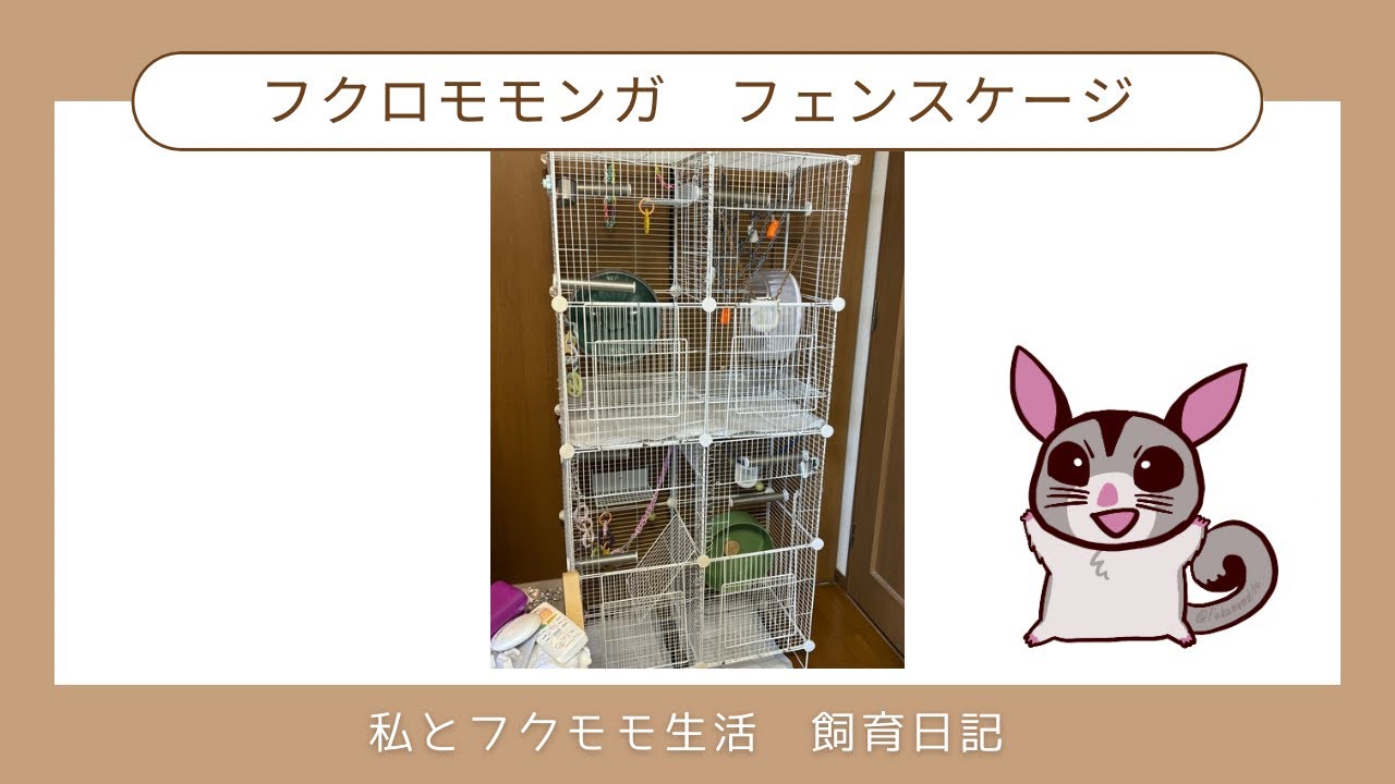 飼育日記】フクロモモンガケージ掃除とレイアウト変更 - YouTube