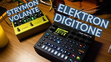 Autumn Ambience | Elektron Digitone, Strymon Volante