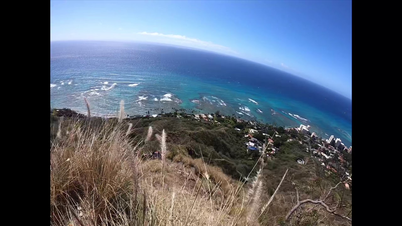 Can you make it? Red Bull JAPAN 『Life was like a box of chocolates』