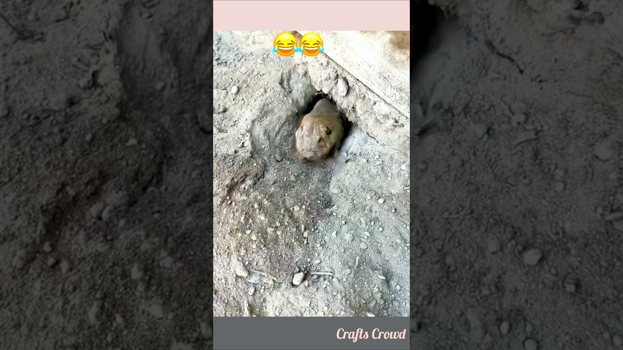 Rat hole process 