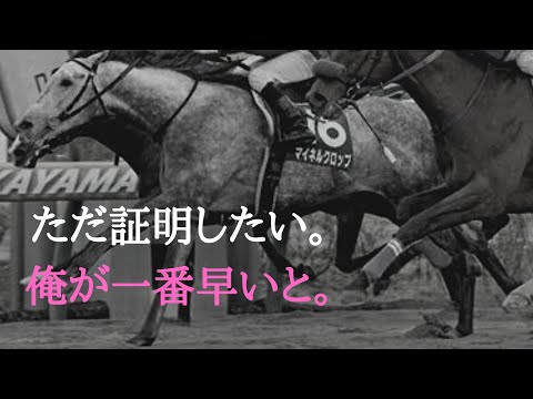 【JRA CM風】マイネルクロップ 【佐賀記念】