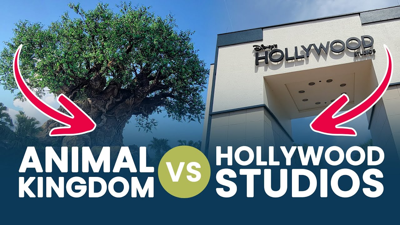 Animal Kingdom Vs Hollywood Studios Which Is Better YouTube animal-kingdom-vs-hollywood-studios-which-is-better-youtube
