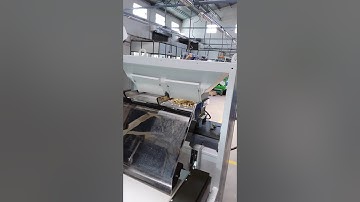 Garlic sorting , mark sortex Coimbatore tamil nadu