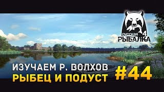 Русская рыбалка 4 #44 - Изучаем реку Волхов. Рыбец и Подуст