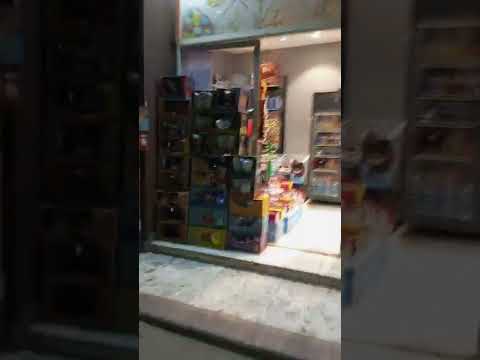 جوله في نادى الشمس مصر الجديدة القاهرة مكان رائع مشاء الله