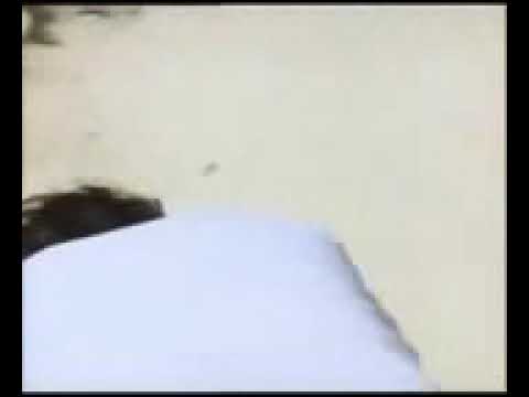 حسن الاسمر دنيا ايه اللي تجرحنا