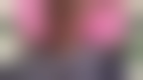 Shitpost Status Compilation v1.1