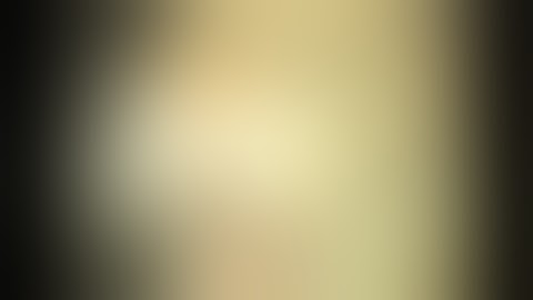 Shitpost Status Compilation v1.1