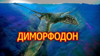 Диморфодон. Птерозавр с головой динозавра. Видео про животных
