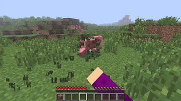 Intro Video/Screenflow Test