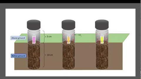 In-field measurement of soil respiration under different cropping intensities