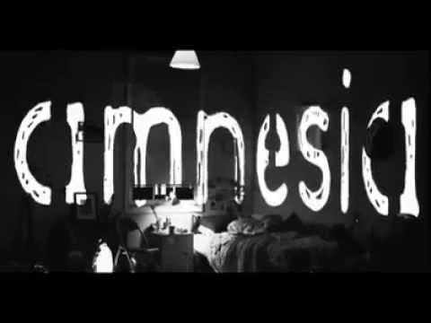 5 Seconds Of Summer - Amnesia (Lyrics)