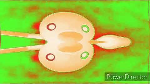 Pingu Outro In VideoUp v3 (Reversed) [Maked Reverse On Android By ReveX