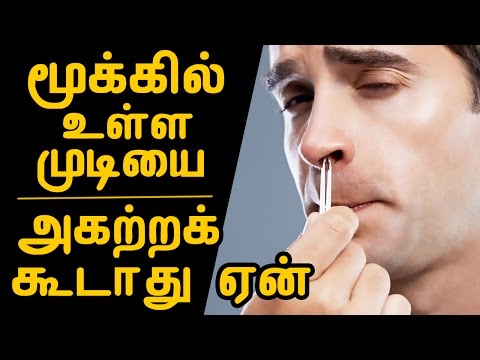 மூக்கில் உள்ள முடியை அகற்றக் கூடாது ஏன் | Stop Plucking Nose Hairs | Tamil Beauty Tips