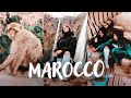 Cinque Giorni in Marocco - Real Vlog (niente abbellimenti cinematografici)