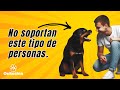 LE CAES MAL A UN PERRO Y NO SABES. 20 tipos de personas que los molestan.