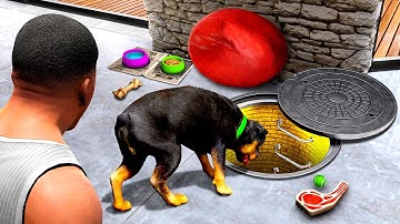 I Found a SECRET TUNNEL Under CHOP