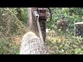 Milling Sambuor wood to build a house........🪚🪚🪚🪚🪚🪚🪚..........