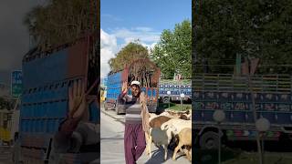 Village lifestyle #village #villagerlifestyle #youtube #song #viral #shortsvideo #shorts #lumb #road