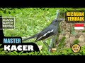 Suara Kicauan Burung Kacer Terbaik Part Masteran Kacer Kacer Gacor Pancingan Kacer Mp3 - Mp4 Download