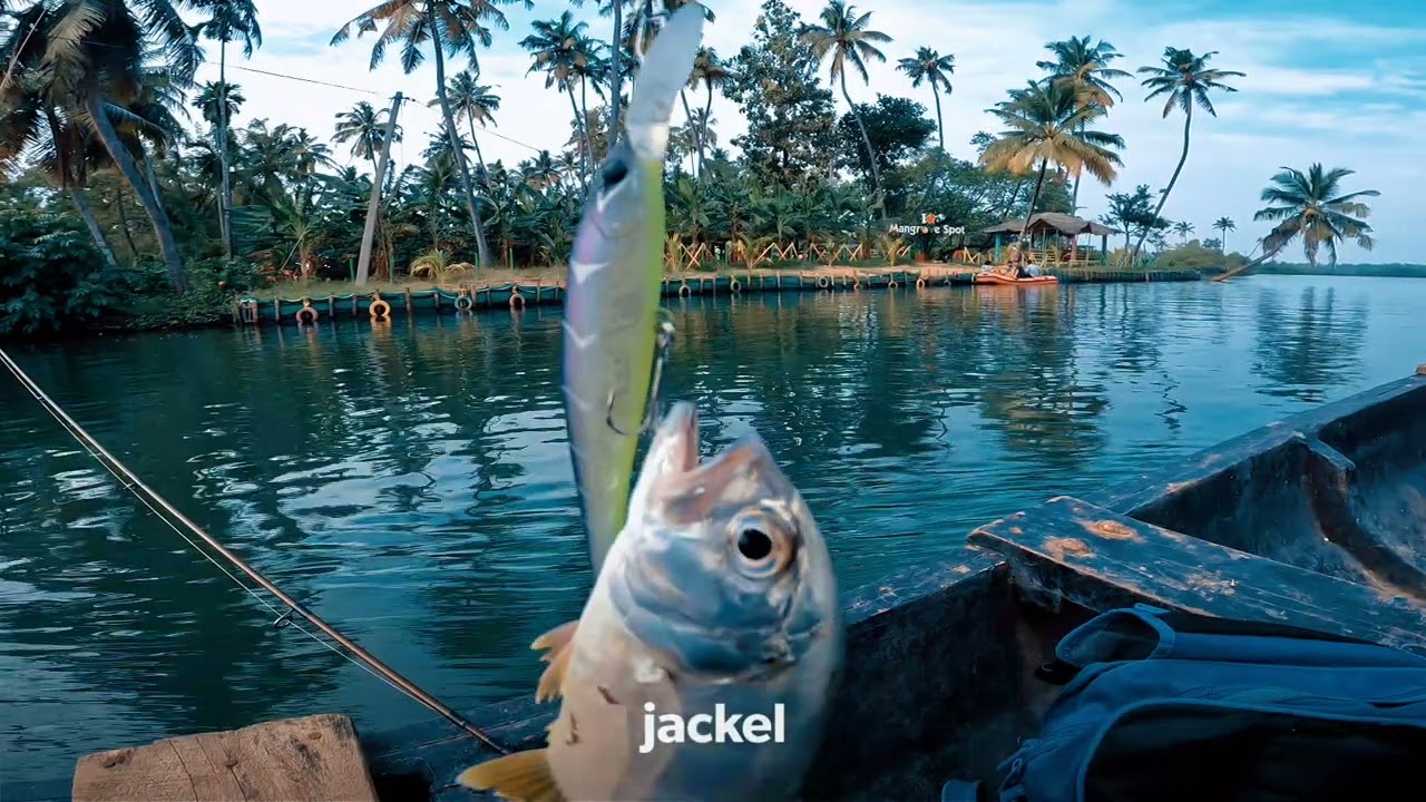 Jackall Dowzvido 90SP(from 