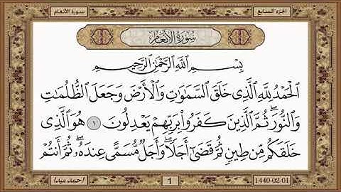 سورة الأنعام، مكتوبة، حسن صالح، بدون اعلانات.