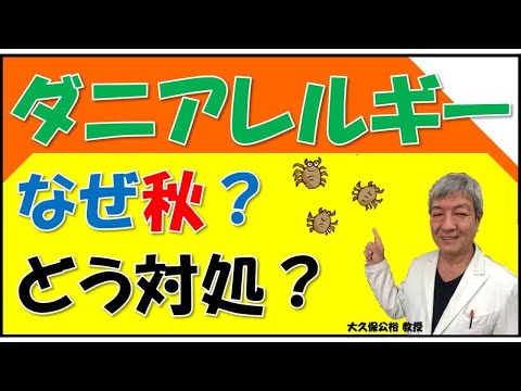 秋はダニのハウスダストアレルギーがひどくなる⁉症状の特徴や治し方は？秋の花粉症と見分けるには？大久保公裕先生が解説！