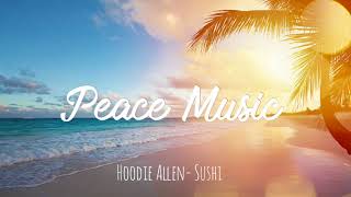 Hoodie Allen-Sushi