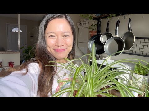 lofi asmr house and plant tour! fairy char