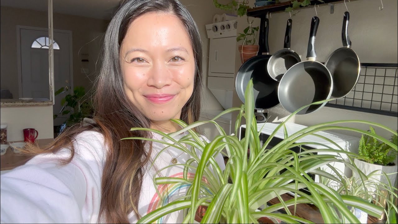 lofi asmr тур по домам и растениям! фея чар