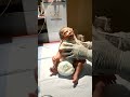 #neonatologist #cuteanimal #baby #babychoice #cutebaby #cute #cutepet #newborn #babypictures