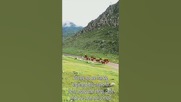 Surah Yasin, Riwayah Khalaf An Hamza by Mishary Alafasy | العفاسي يس برواية خلف