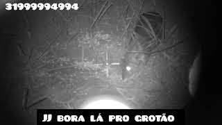 Ceva de paca com red Dot e visão noturna (imagens inéditas)