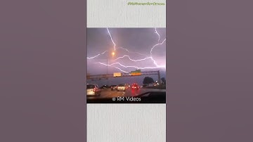 Lightning Struck The Tree #shorts