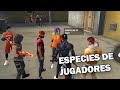 ESPECIES DE JUGADORES FREE FIRE #3- Dshanto