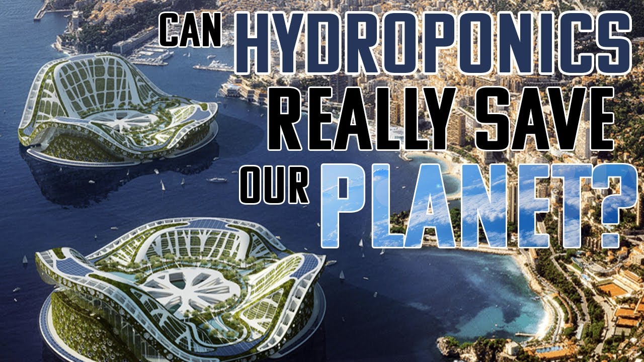 Can Hydroponics Save Water?